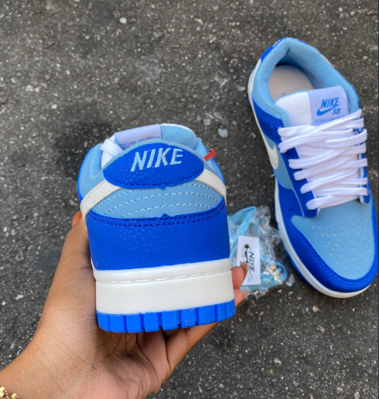 Air Dunk Low SB Azul